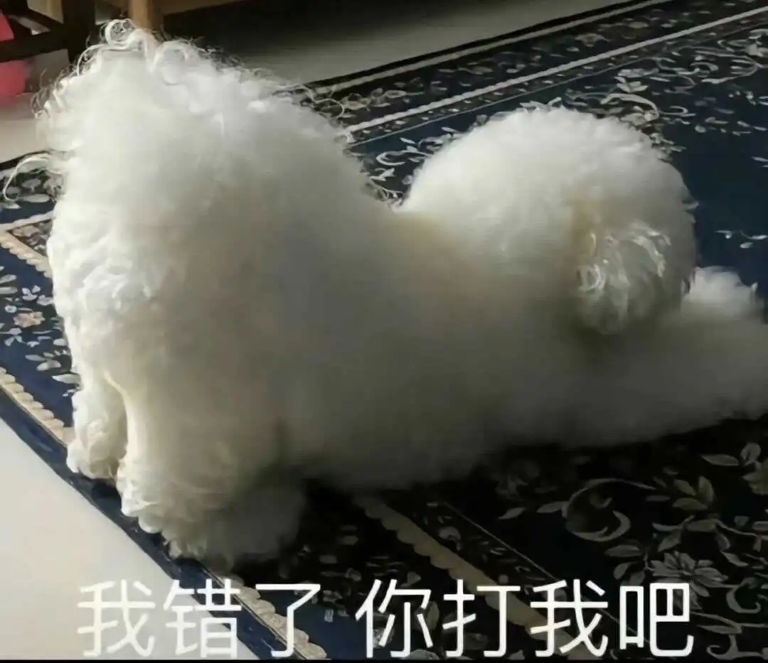 西檬之家-圣水是什么意思？字母圈新人入圈指南