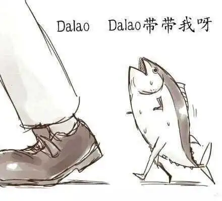 S：实用指南