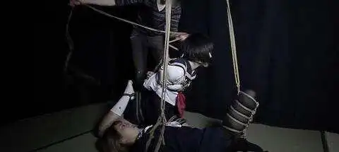 BD：实用指南
