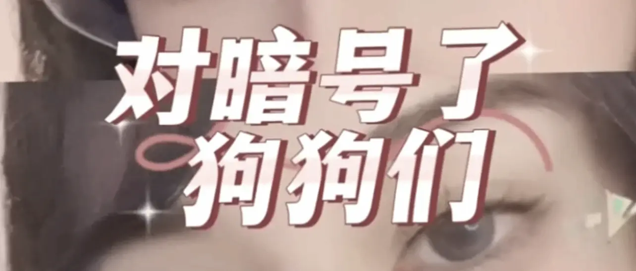 西檬之家-恋足癖是什么？在字母圈中的表现与实践指南
