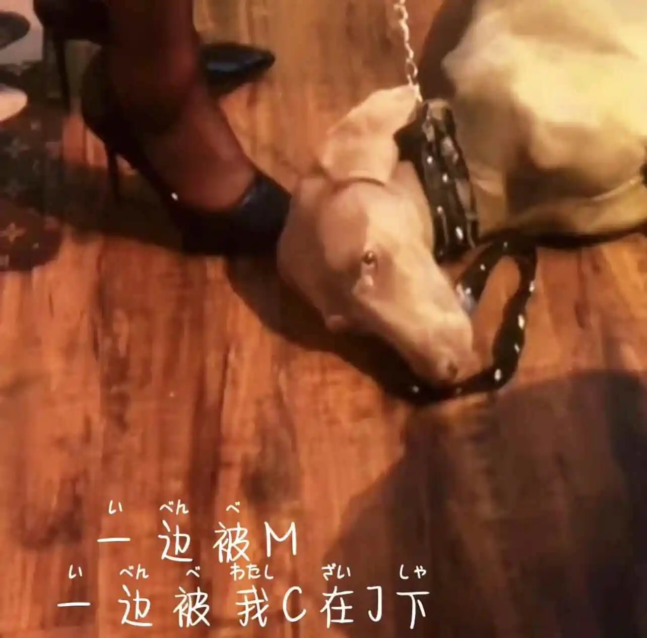 西檬之家-Dom与Sub关系解析，探索DS关系的核心