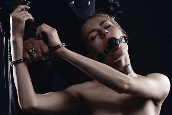 【西檬之家】BDSM新人指南：如何科学认知字母圈与S属性