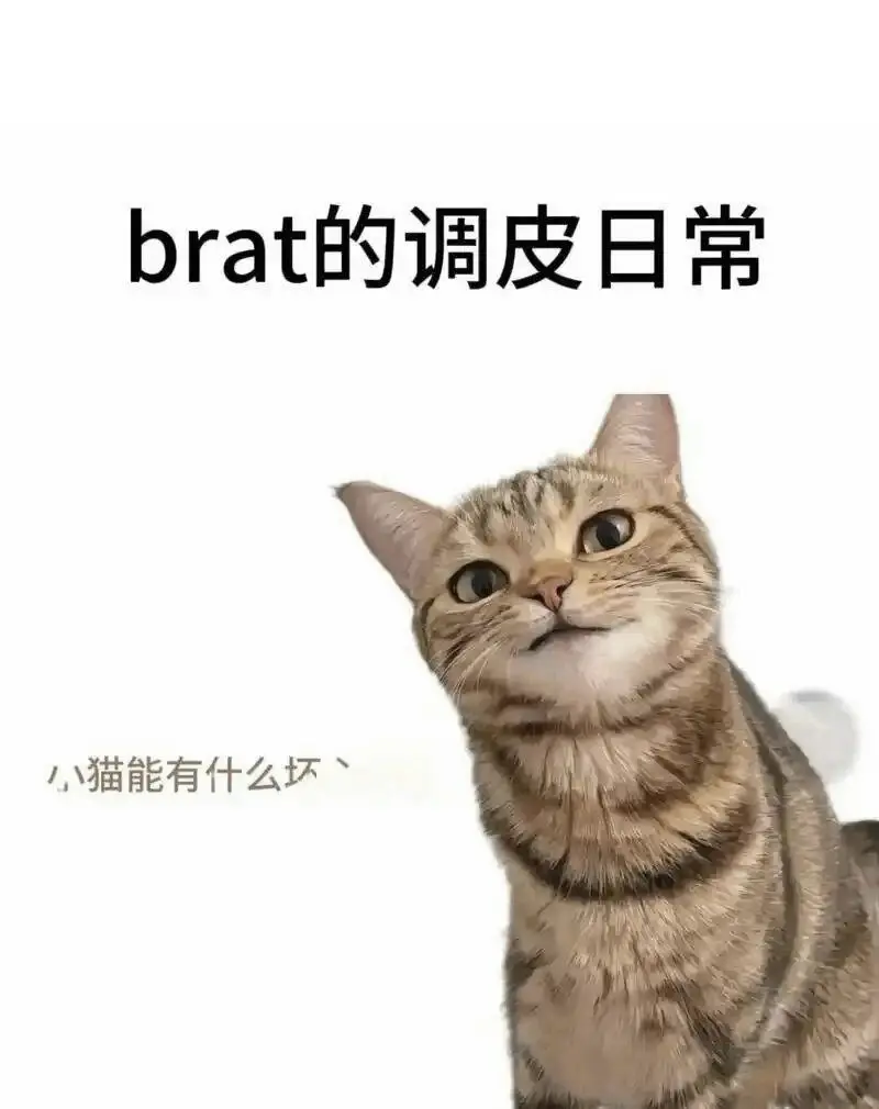 西檬之家-TK是什么意思？字母圈新人科普