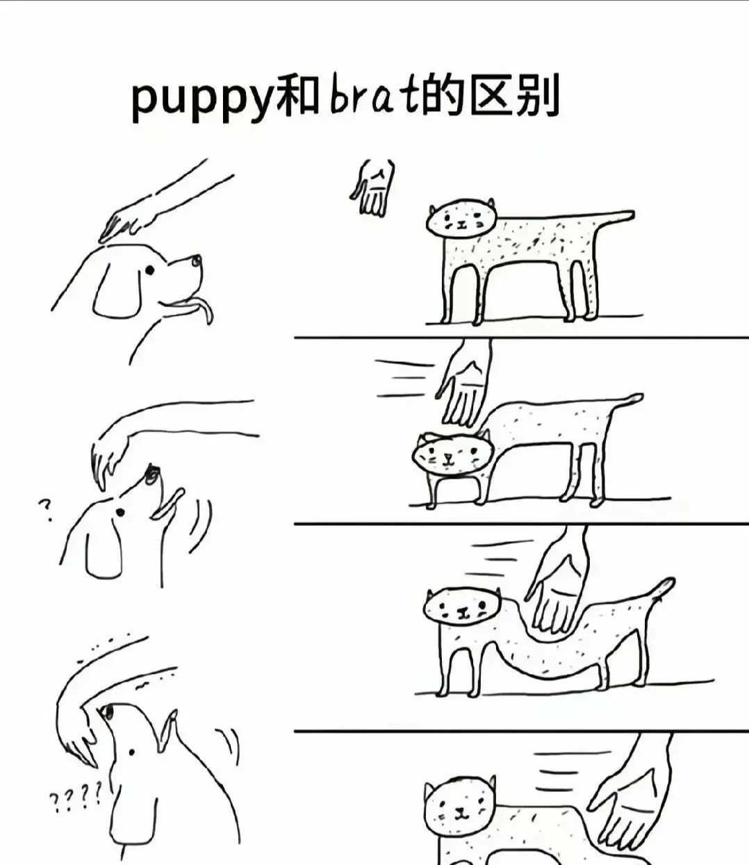 【西檬之家】Sub是什么？BDSM字母圈新人权威指南