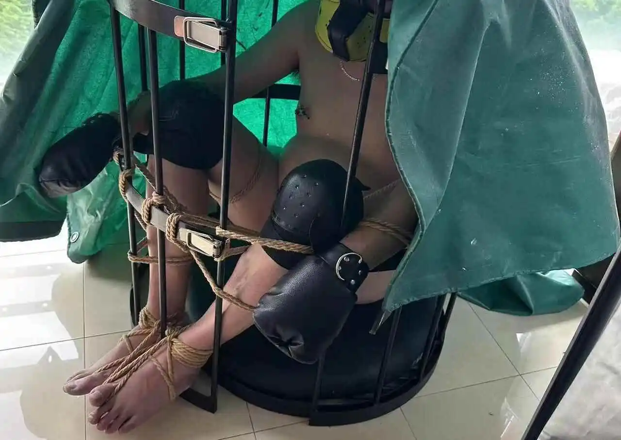 【西檬之家】BDSM中的S属性：从概念到实践的全面指南