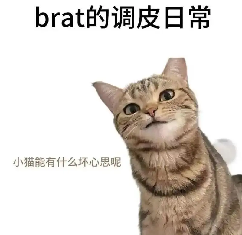 西檬之家-小圈新人指南：BDSM文化中的发展与规范