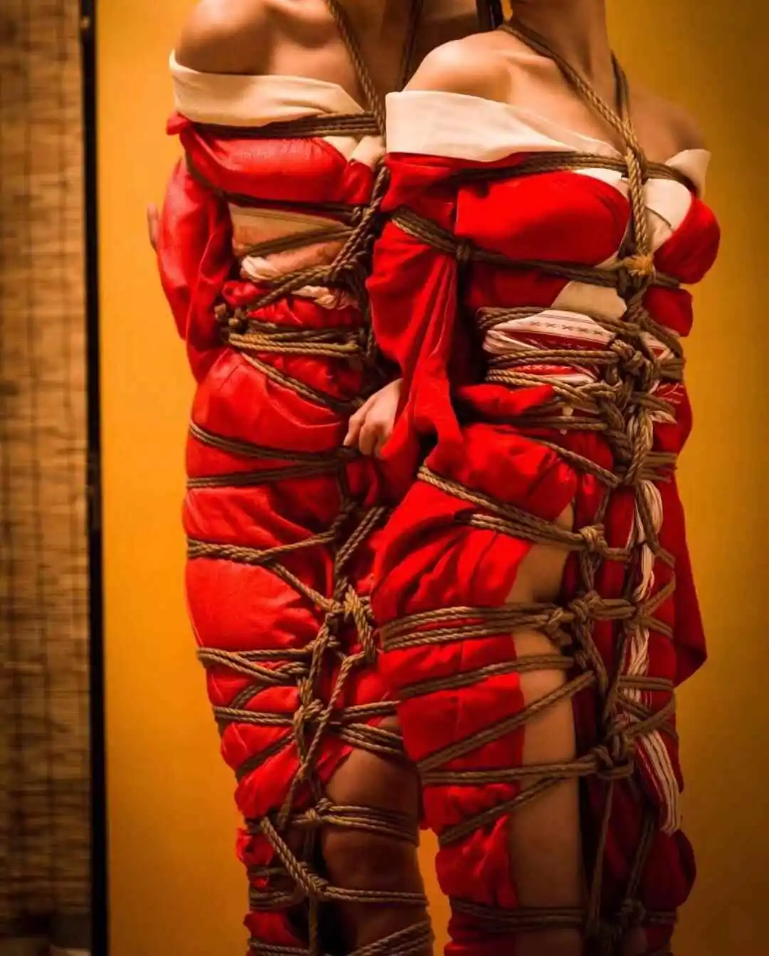 【西檬之家】新手必看的字母圈核心术语百科