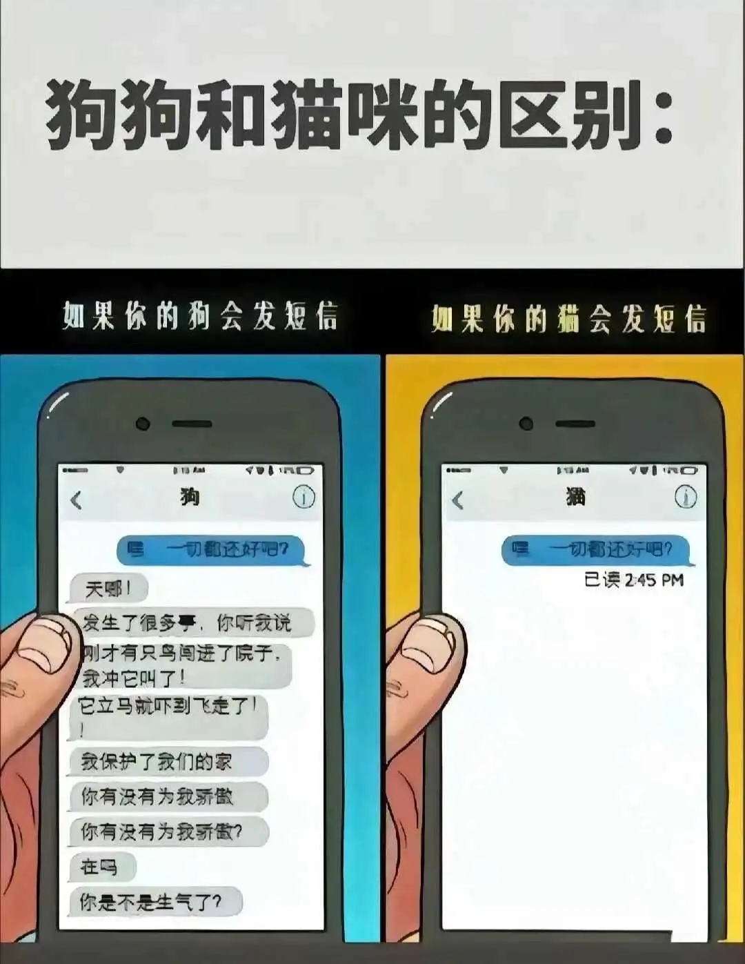 圣水BDSM实践指南：从术语解析到安全边界