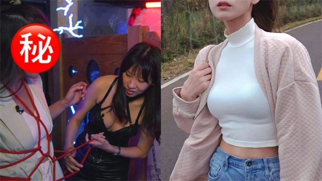 Dom：实用指南
