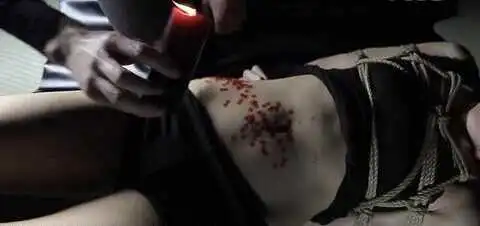 西檬之家-字母圈新人入圈指南：从BDSM基础知识到安全互动